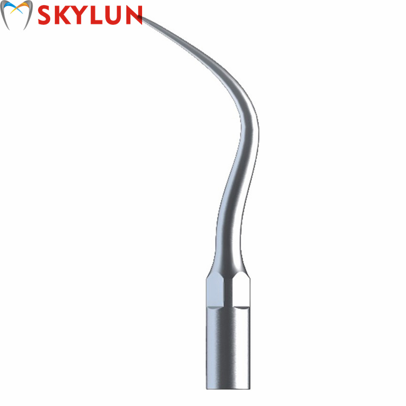 Teeth Whitening Dental - 5PCS P4 치과용 초음파 스케일러 팁