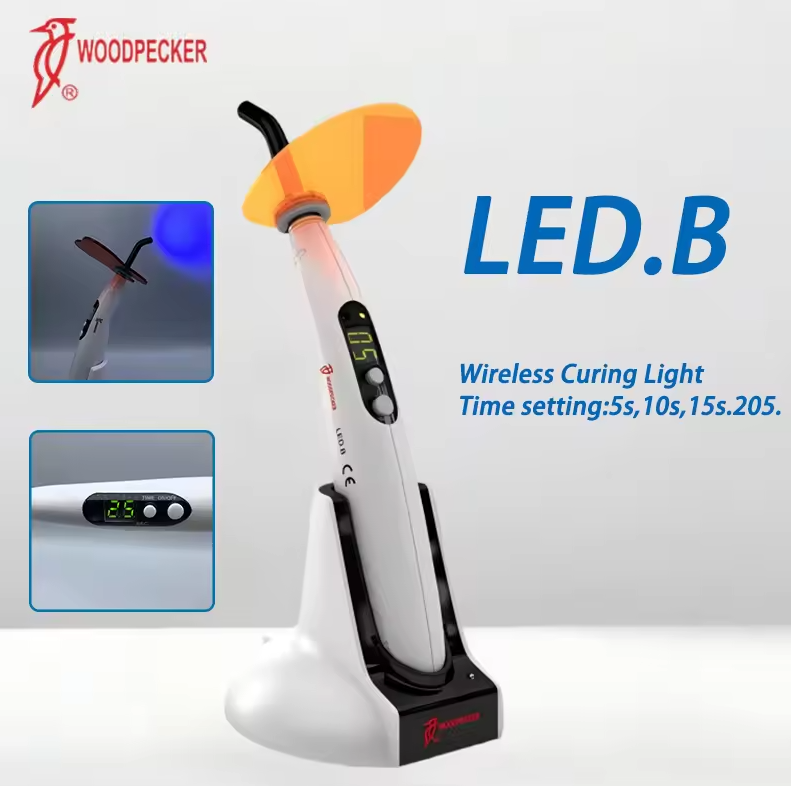 치과용 광중합기 우드페커 LED B LED 기계 구강  - Whitening Teeth Dentist 리뷰 및 가격