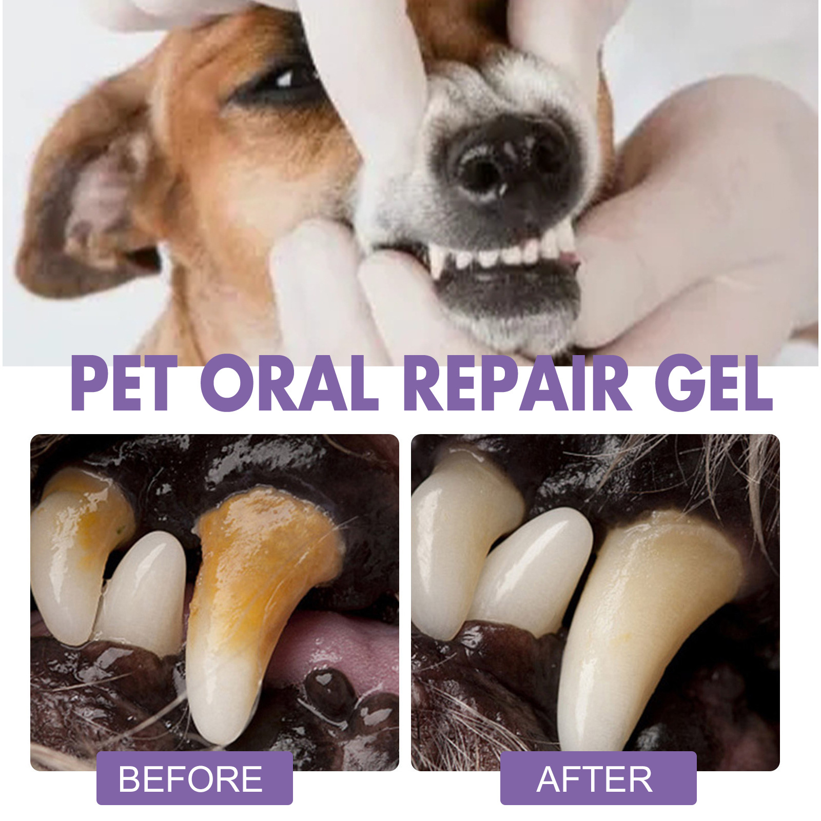 애완 동물 구강 수리 젤 강아지 타르타르 제거 냄새 제 - Teeth Whitening Hydrogen Peroxide 리뷰 및 가격