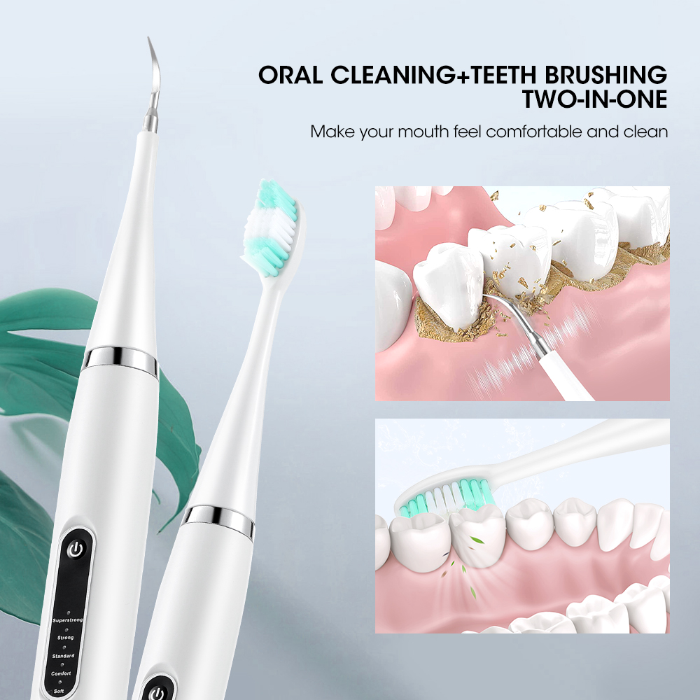 전기 음파 치과 치석 스케일러, 구강 치아 치석 제거기 - Whitening Teeth Dentist 리뷰 및 가격