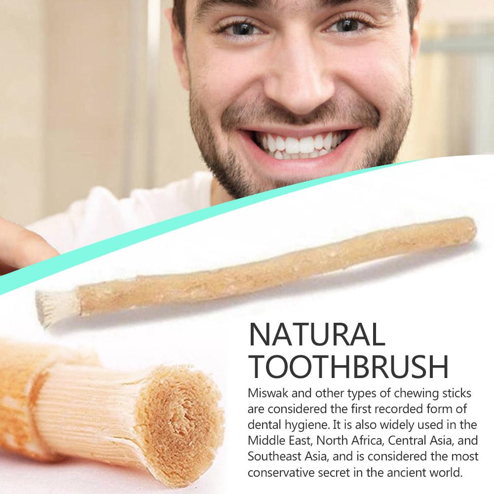 천연 미스왁 시왁 칫솔 전통 나무 치아 미백 수동 치아 - Teeth Whitening Natural 리뷰 및 가격