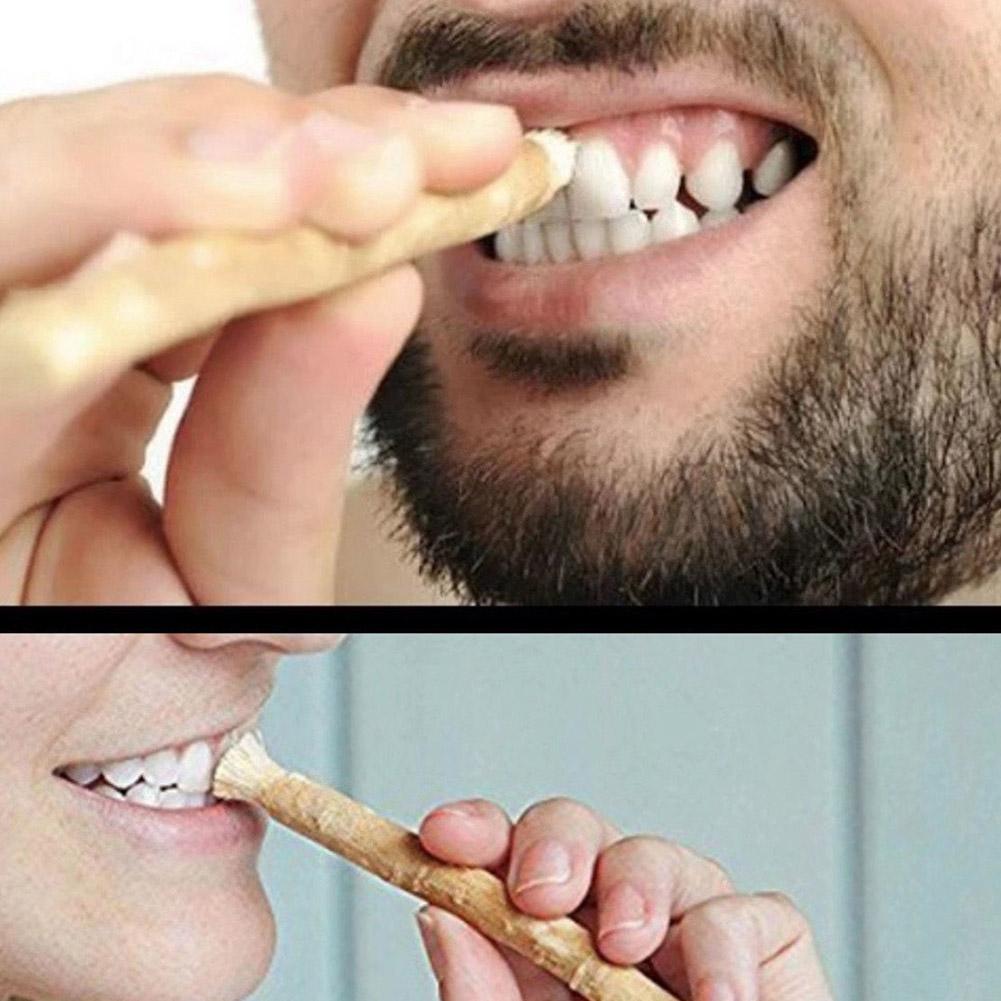 천연 미스왁 시왁 칫솔 전통 나무 치아 미백 수동 치아 - Teeth Whitening Natural 리뷰 및 가격