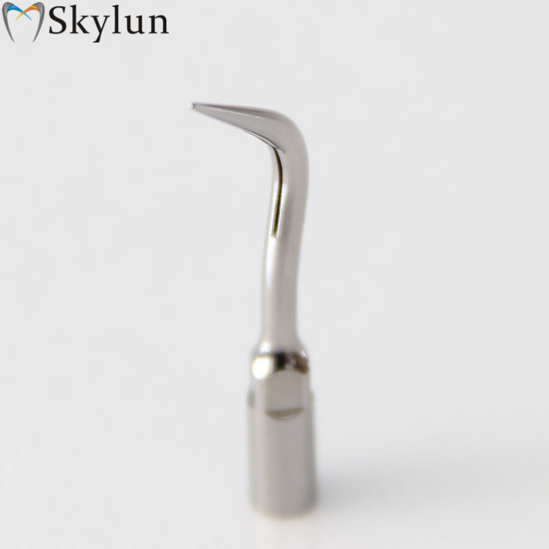 5PCS P4 치과용 초음파 스케일러 팁 치아 미백용  - Teeth Whitening Dental 리뷰 및 가격