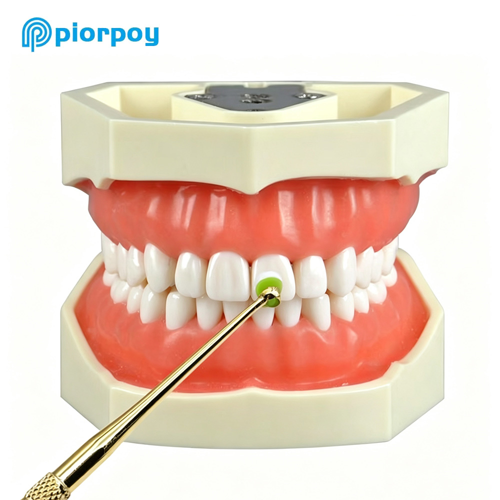PIORPOY 1Pcs 치과용 수지 충전 성형 도구 빠 - Teeth Whitening Quick 리뷰 및 가격